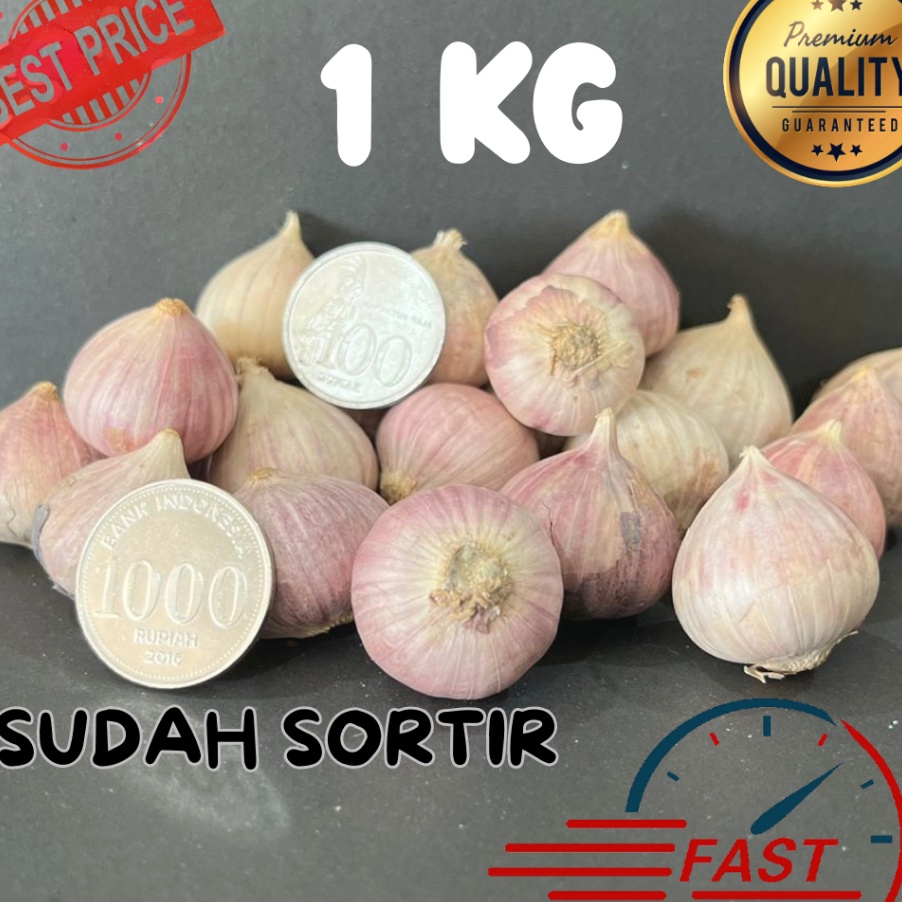 

DCYX6563 COD NEWPRODUCT BAWANG TUNGGAL LANANG SOLO GARLIC BESAR 1 KG 1 G DIAMETER 2 25 CM