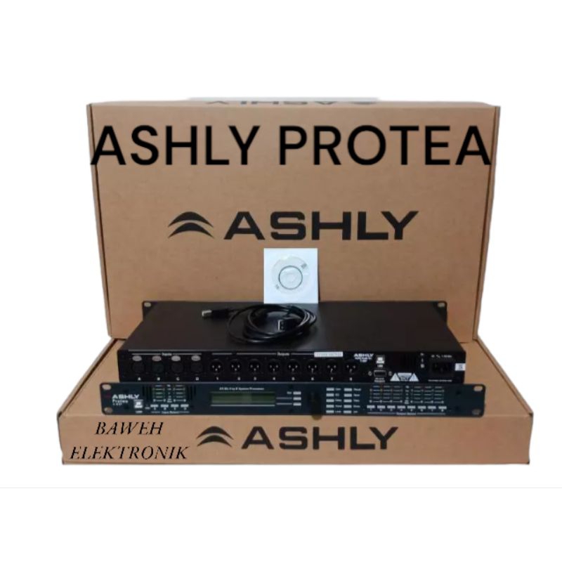 MANAGEMENT  DLMS ASHLY 4.8 PROTEA