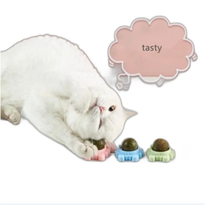 Catnip Alpukat Bola Catnip Catnip Kepiting Kucing Mainan Catnip Alpukat catnip Bentuk Kepiting