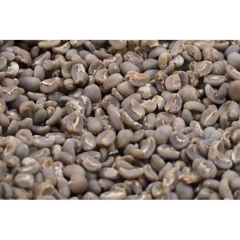 

Biji kopi mentah Gayo (green bean)