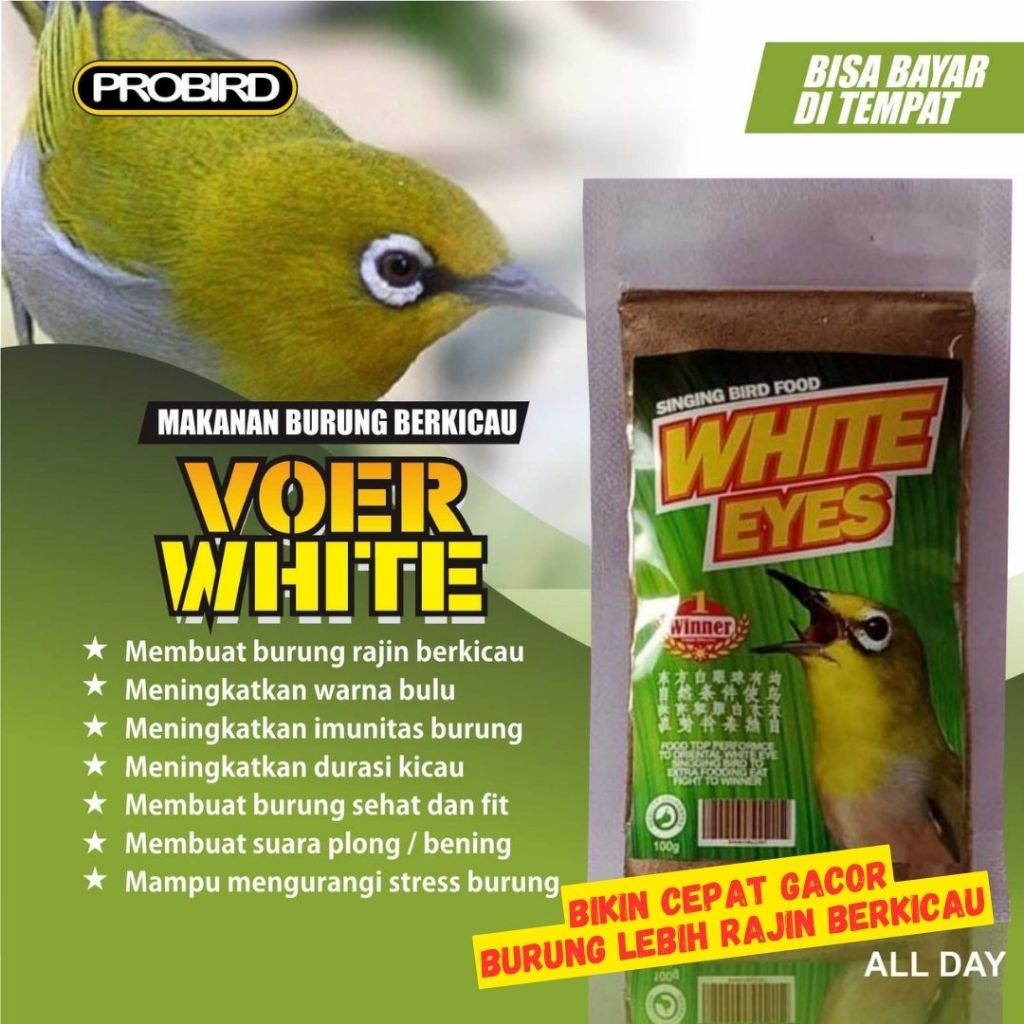 VOER HALUS WHITE EYES PLECI NECTAR