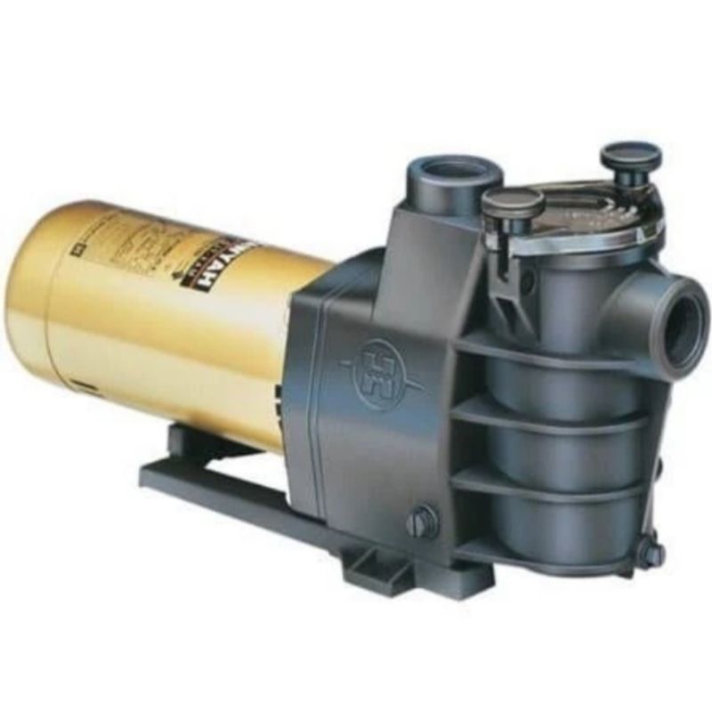 Pompa kolam renang Max Flo 2 Hp Hayward