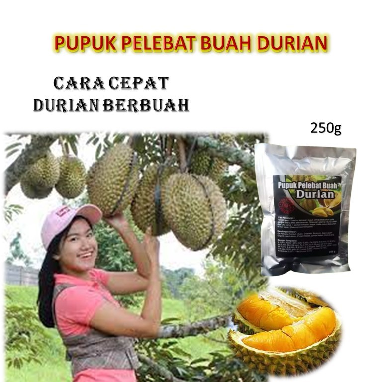 pupuk durian / booster durian besar /durian cepat besar /booster durian berbuah/durian cepat berbuah