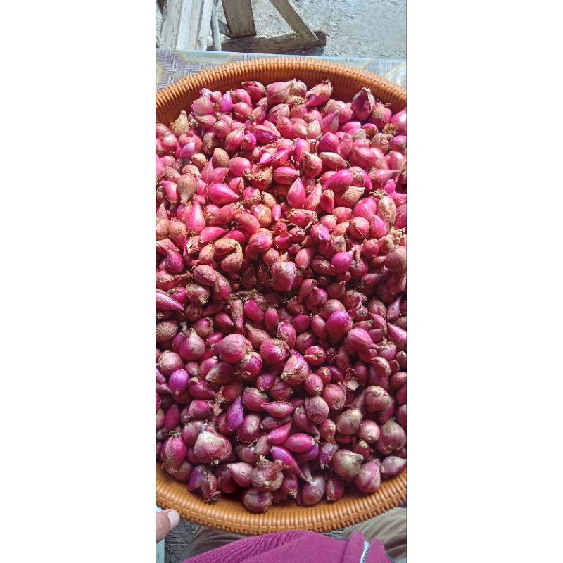 

BAWANG.MERAH/PUTIH.100%FRESS.ASLI.PURBALINGGA