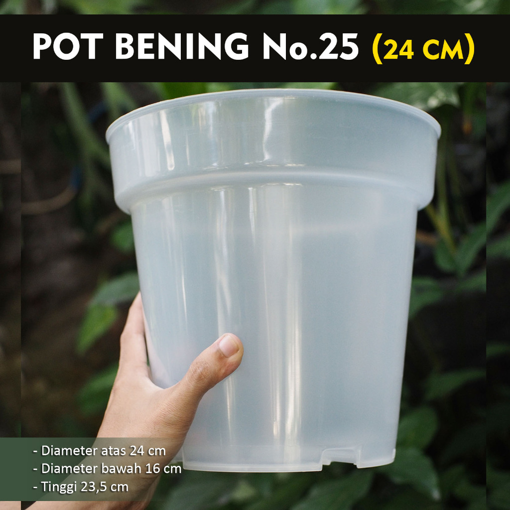 Pot Bening Plastik No.25 (24 cm) - Isi 6 Pot - Pot Bening Transparan