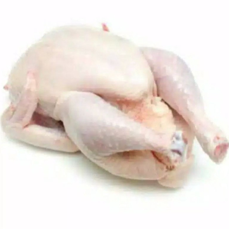 

COD TERMURAH Ayam Broiler Karkas Frozen 91kg