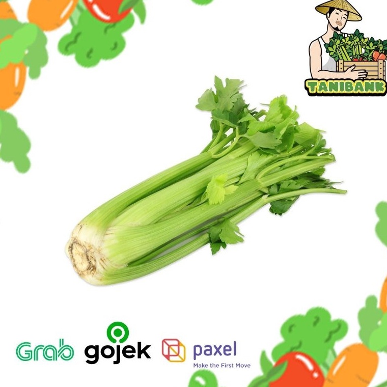 

TERBARU HARGA 1KG Celery Stick import Seledri Stik importkualitas PREMIUM dan FRESH