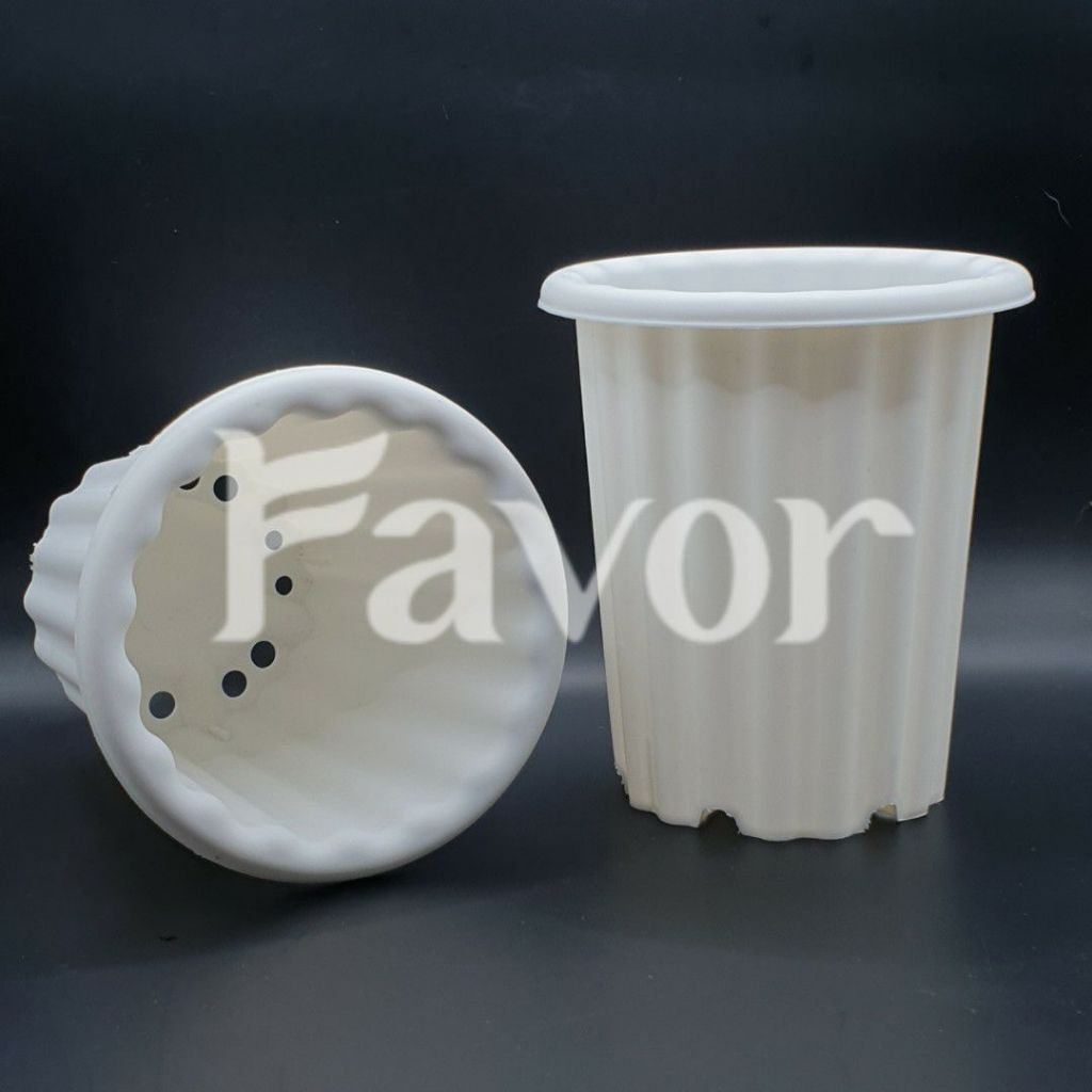 Pot Plastik Estetik Swiss 10 PUTIH si Tinggi Gelombang Cinta Sanseviera / Sukulen / Kaktus