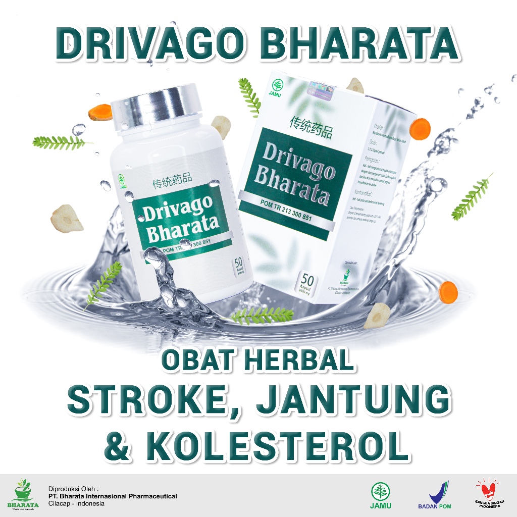 DRIVAGO BHARATA Obat Stroke - Jantung - Kolesterol Herbal Cina Ampuh | Mahkota Bharata