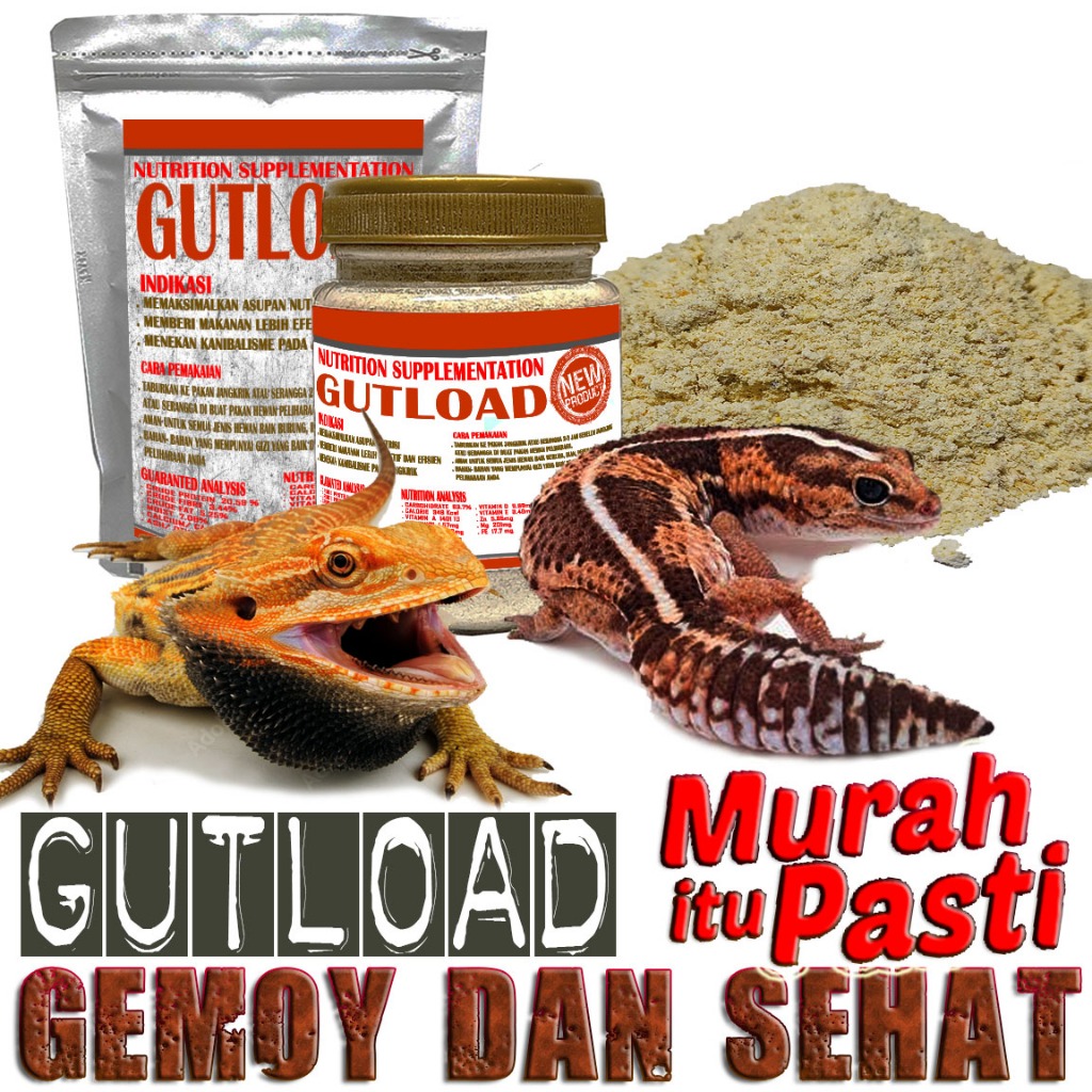 GUTLOAD PENGGEMUK REPTILE PAKAN MAKANAN FEEDER BUBUK SUPLEMEN VITAMIN JANGKRIK KECOA DUBIA MADAGASKA