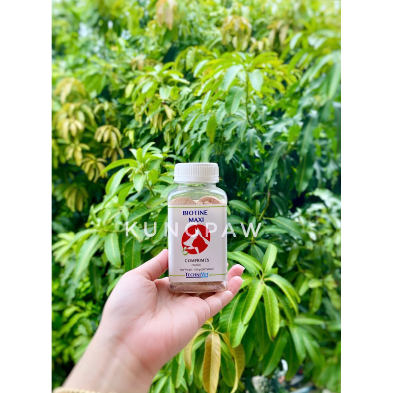 Vitamin Bulu Anjing Kucing Biotine Maxi 30 tablet