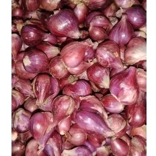 

BAWANG MERAH FRESH