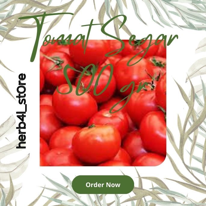 

Tomat Segar 500 gr herba4l_st0re Termurah