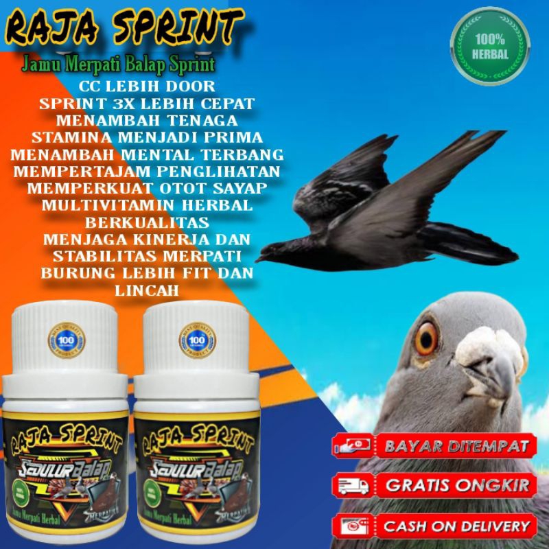 JAMU MERPATI BALAP RAJA SPRINT 100 pil hitam doping merpati balap jamu liur walet extra power speed 