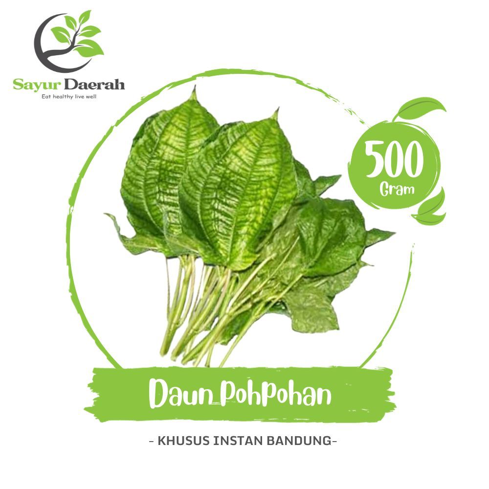 

Daun Pohpohan 500 Gr | Sayur Daerah