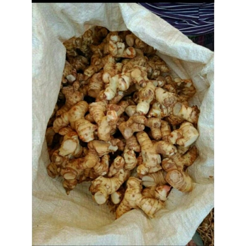 

lengkuas bersih 1kg