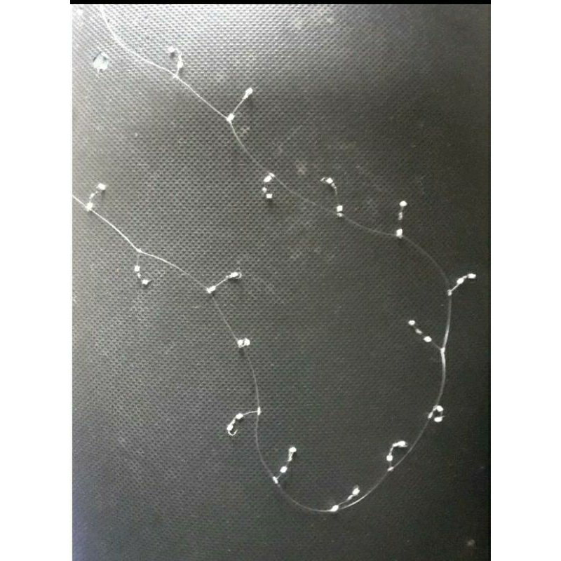 RANGKAEAN PANCING COTTONBUD ATAU RAWE, GARONG 10-20 KAIL