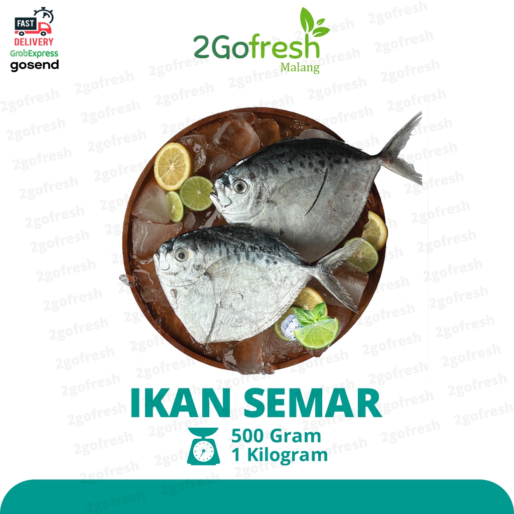 Ikan Semar / Ani - Ani Fresh - Sayur Sayuran