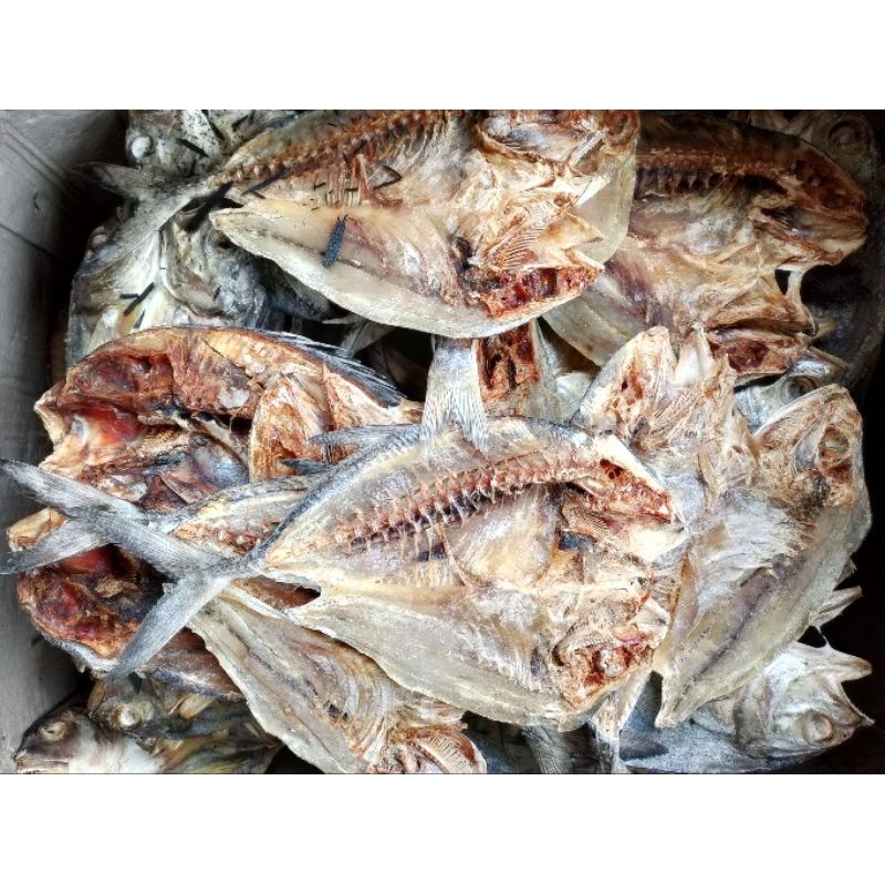 

Ikan Garam