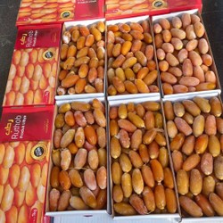 

Kurma Ruthob Libiya Korma Muda Ruthob libia 1kg 1 kg 1000gr