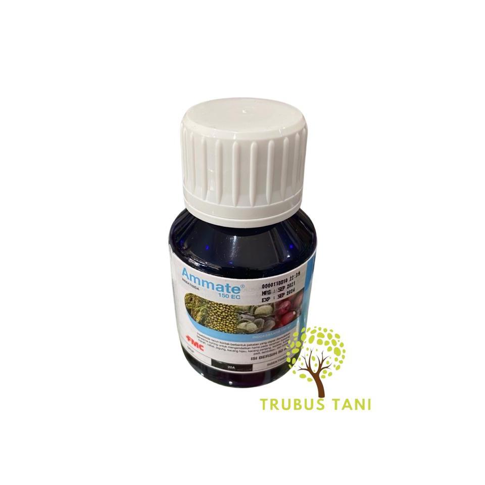 Insektisida ammate 50ml