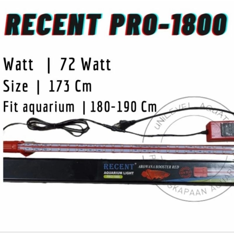 LAMPU ARWANA BOOSTER RED RECENT PRO 1800