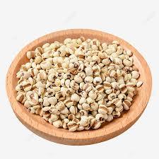 

JALI JALI CINA LEBIH BESAR ORGANIC / BERAS JALI JALI CINA / PEARL BARLEY PUTIH