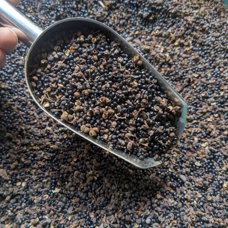 

Biji Andaliman Kering