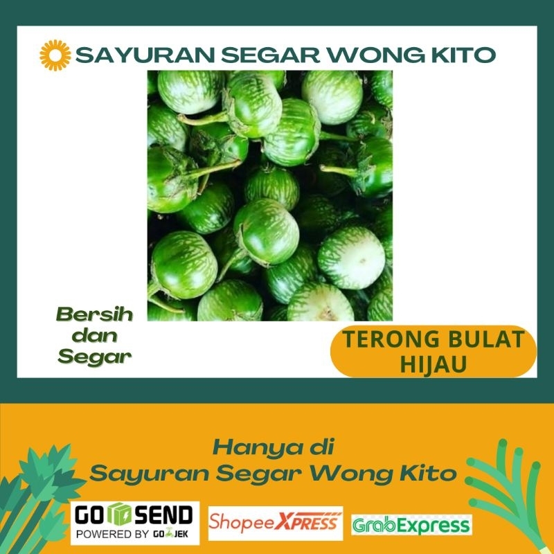 

Terong Hijau Bulat - Sayuran Segar Wong Kito