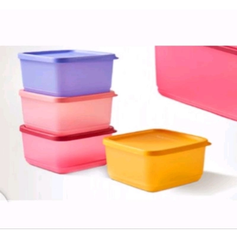 small summer ORI Tupperware...