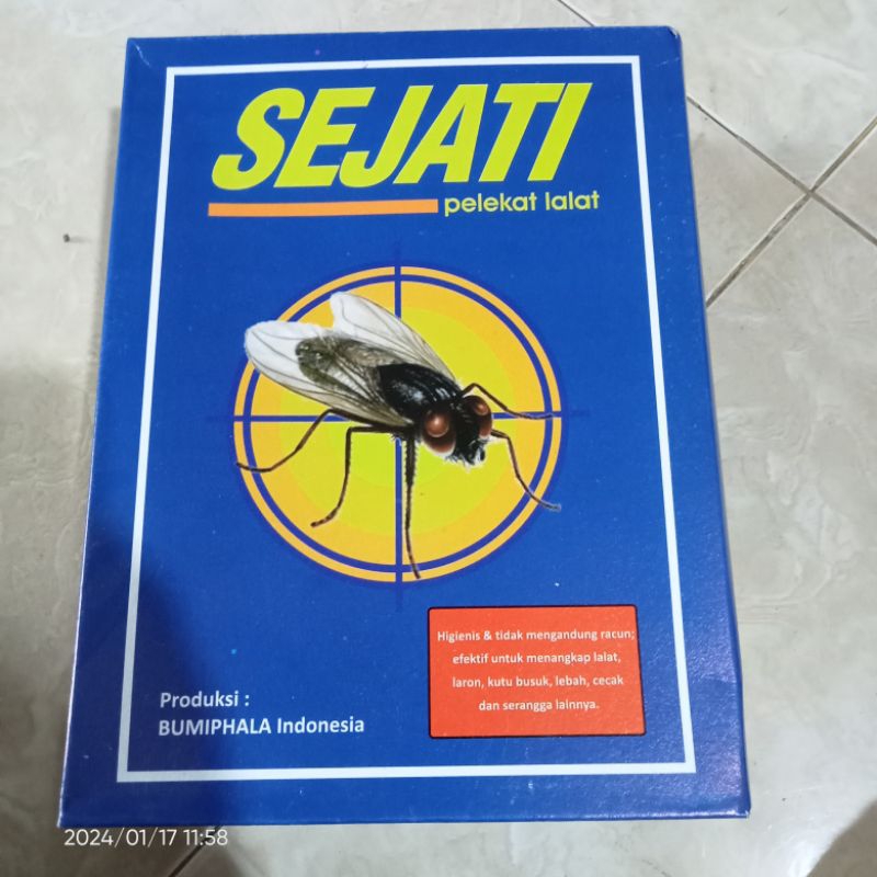 

lem lalat SEJATI