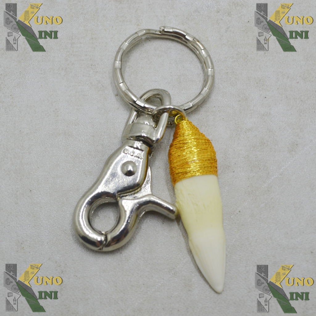 GANTUNGAN KUNCI GIGI BUAYA ASLI I, from Malaysia
