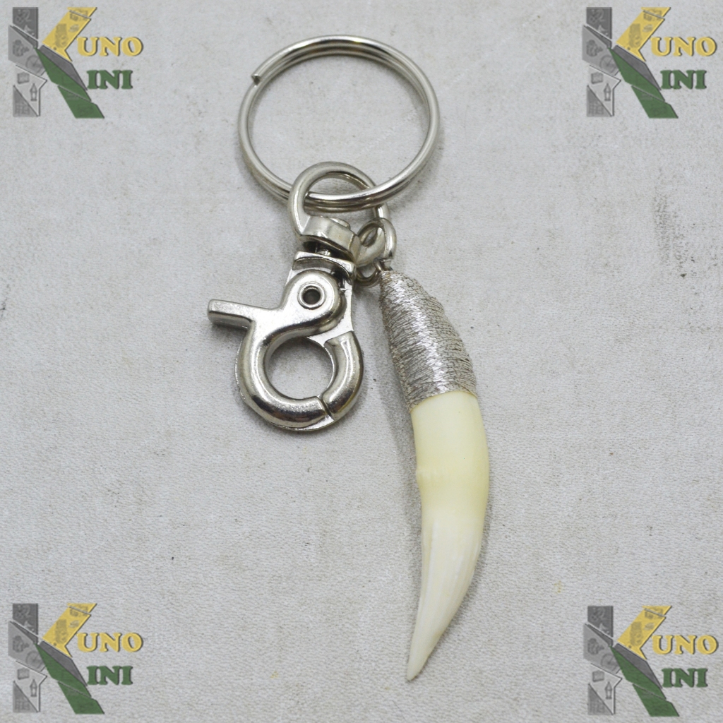 GANTUNGAN KUNCI GIGI BUAYA ASLI IV, from Malaysia
