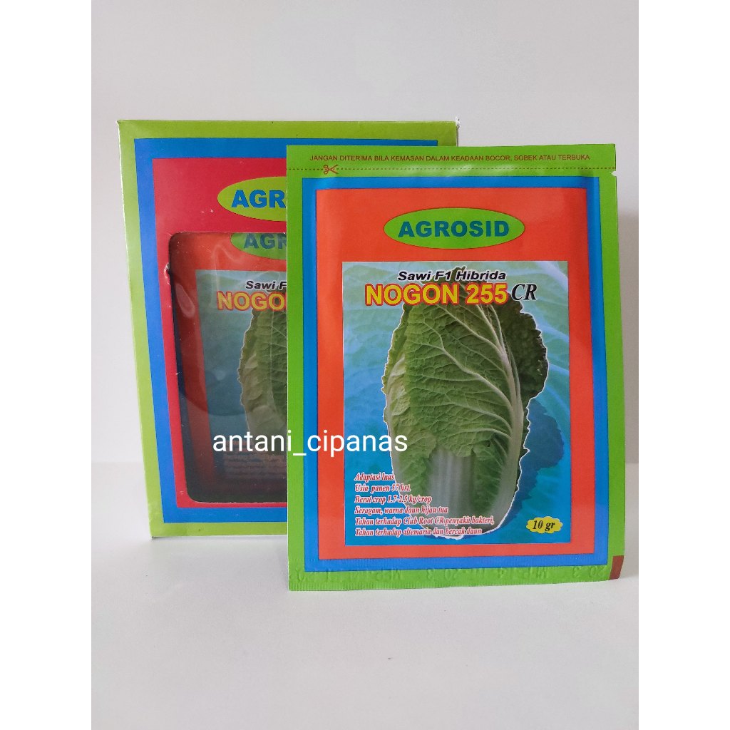 benih sawi putih NOGON 255 CR AGROSID