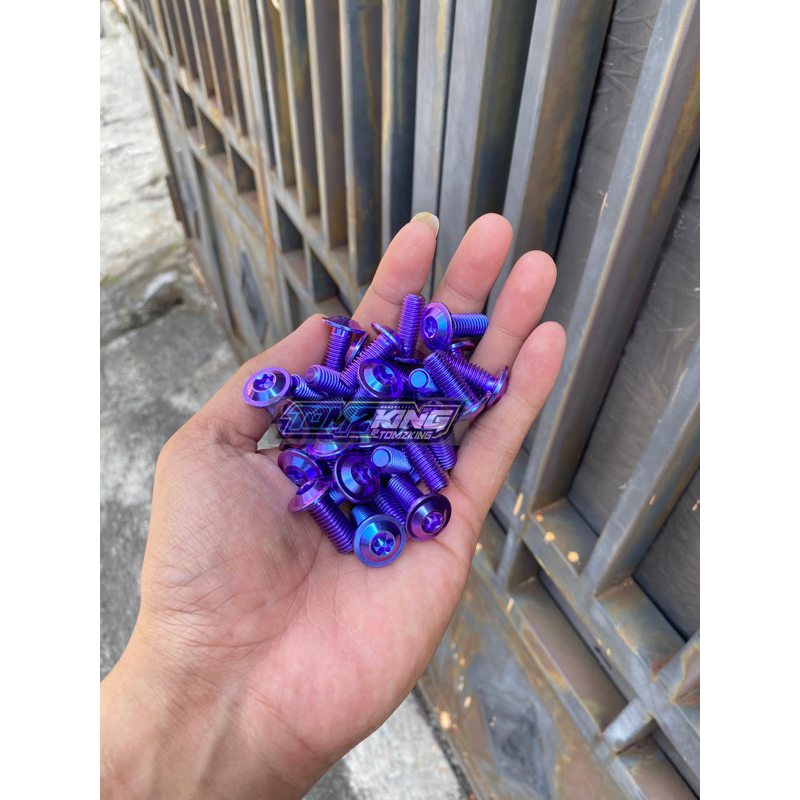Baut piringan cakram titanium 1biji