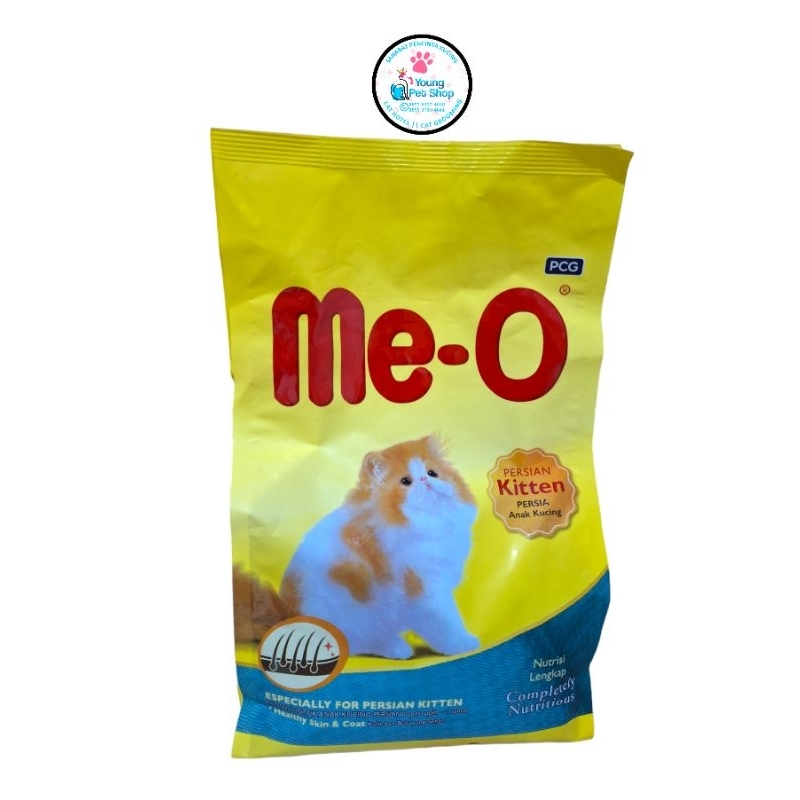 meo persian kitten
