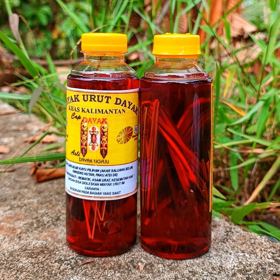 Minyak Urut Dayak Kalimantan Botol Besar,Obat Asam Urat,Minyak Urut