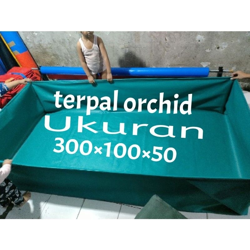 kolam terpal orchid semi karet 300×100×50
