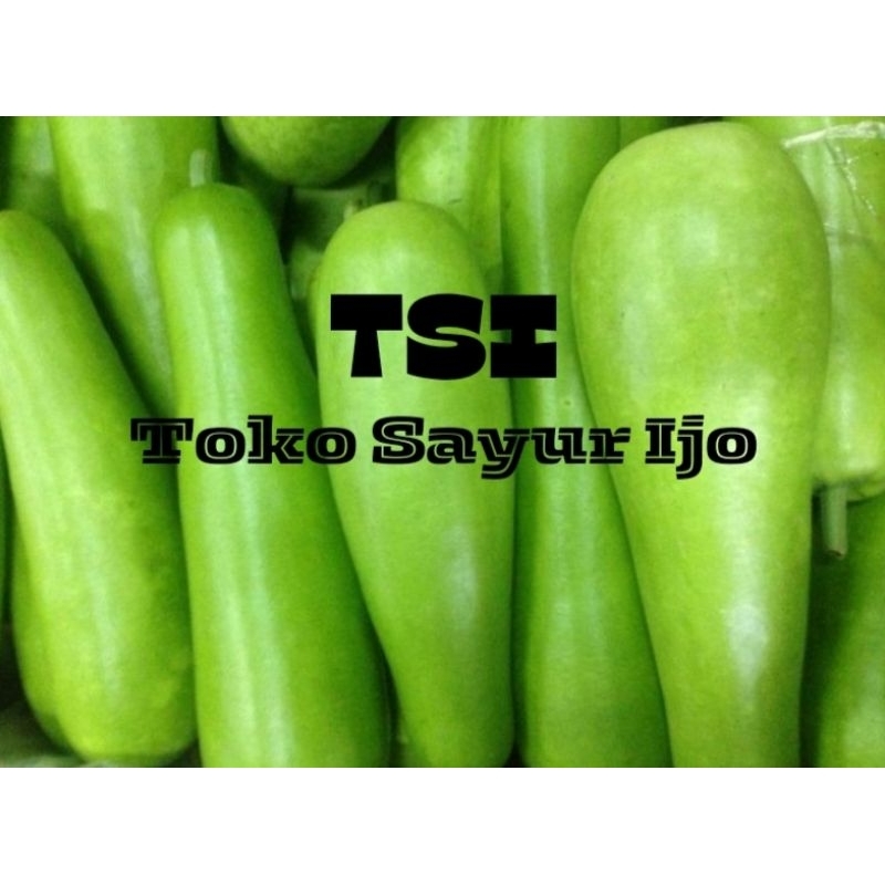 

Labu Air 3K - Kirim Instan