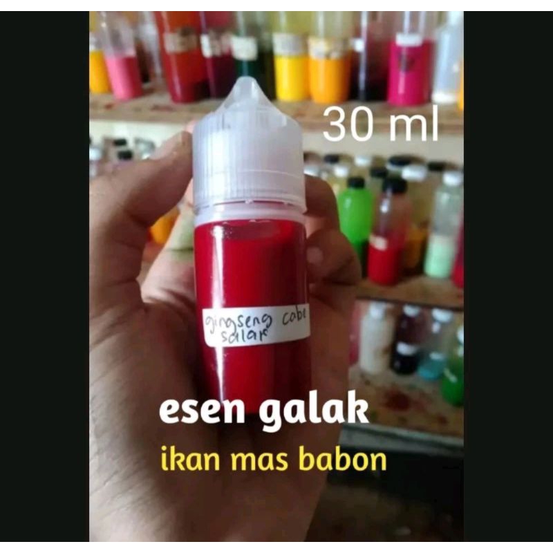 esen oplosan khusus induk ikan mas