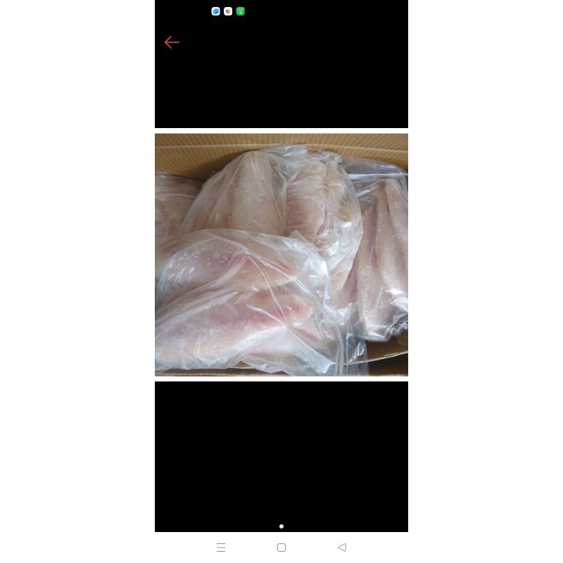 

dorri fillet kg