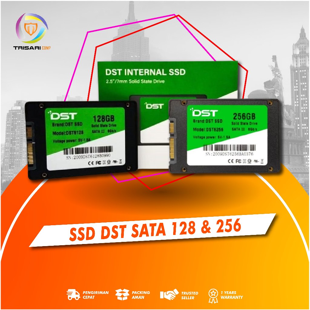 SSD DST 120GB/256GB SATA III