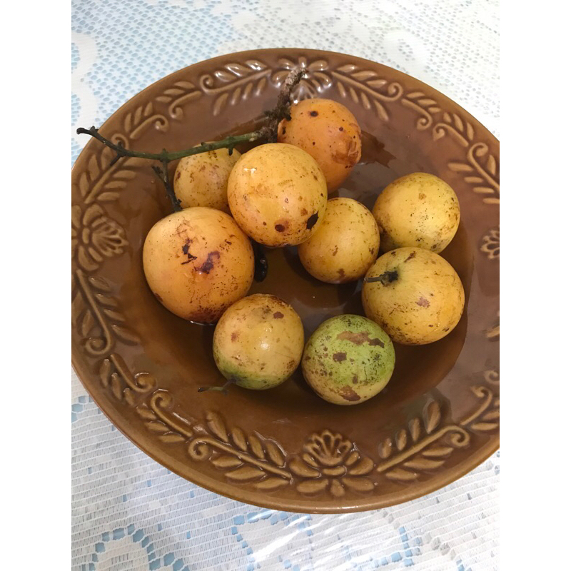 Gandaria Segar 100 g exotic fruit