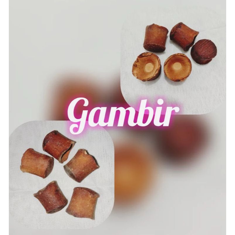 

5 biji(. 10 ribu) gambir-gerah Gambir buat nyepah-gambir kering