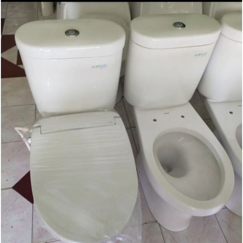 TERJAMIN Closet Duduk Toto CW421