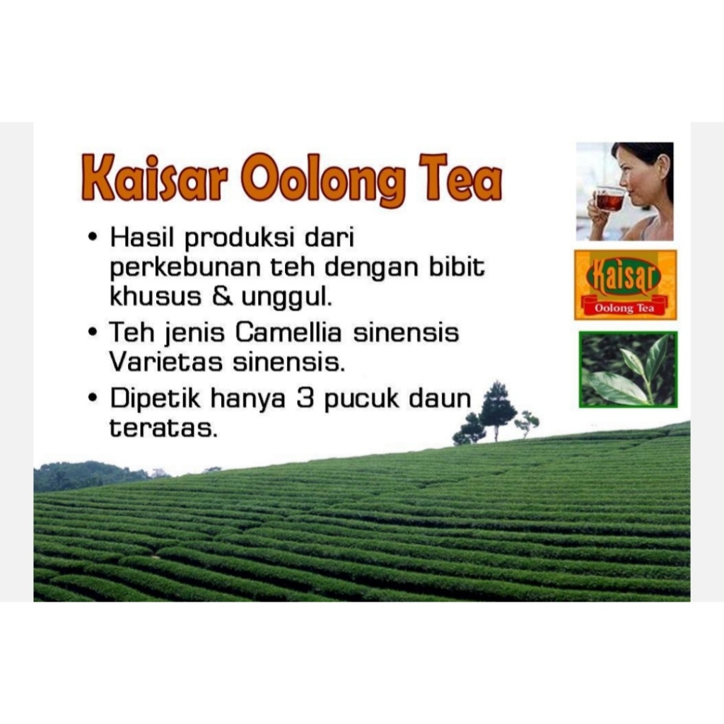 

Kaisar Oolong Tea Teh dengan khasiat tinggi