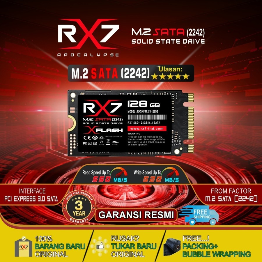 SSD RX7 M2 SATA 256GB 2242 M.2 SATA / M2SATA GARANSI RESMI