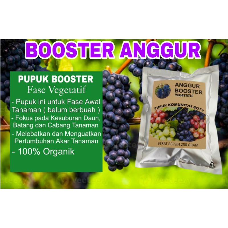 Pupuk Booster Anggur Organik Fase Vegetatif