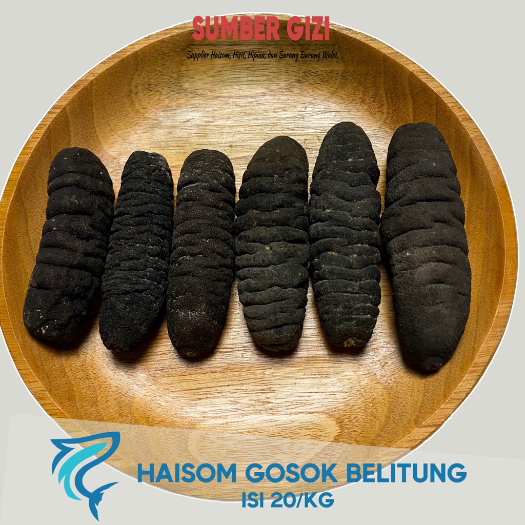 

Teripang Gosok Belitung Ukuran 20/ kg - (@1 kg)/ Haisom Gosok Bangka Belitung/ Hoisem/ Hoisom/ Tripang/ 海参