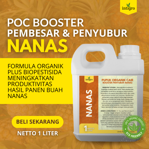 Pupuk Nanas / Pupuk Buah Nanas / Pupuk Perangsang Pelebat Buah Nanas Booster Organik Tanaman Buah Na